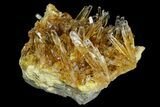 Honey Yellow Celestine (Celestite) Crystal Cluster - Poland #175409-1